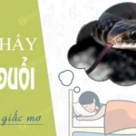 mo thay ran duoi danh de con gi theo tung tinh huong