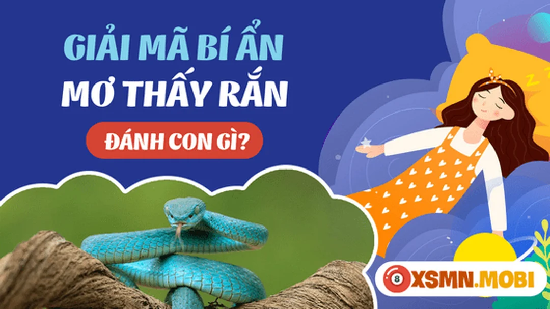 mơ thấy rắn hổ mang đánh con gì