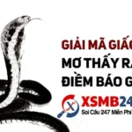 mo thay ran nho danh con gi bang tra nhanh ran nho