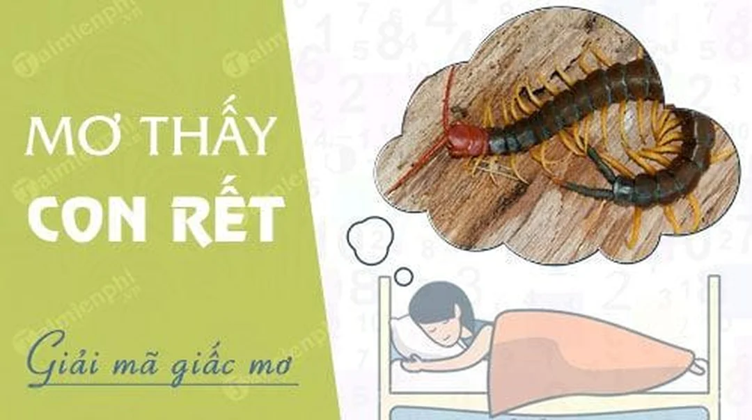 mơ thấy rết đánh con gì - hình minh họa 4