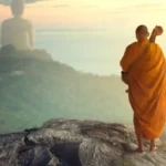 mo thay su co danh con gi qua bang tra cuu chi tiet