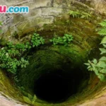 mo thay tre con roi xuong gieng danh con gi hinh minh hoa 1