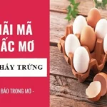 mo thay trung danh de con gi theo tung loai trung