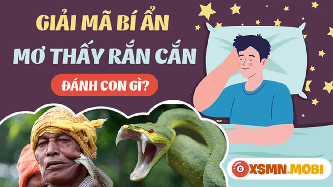 nằm mơ thấy bị rắn cắn đánh số gì khi mơ thấy bầy rắn cắn