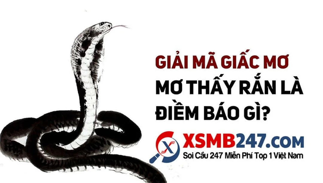 nằm mơ thấy bị rắn cắn đánh số gì với hình ảnh rắn nhỏ trong mơ
