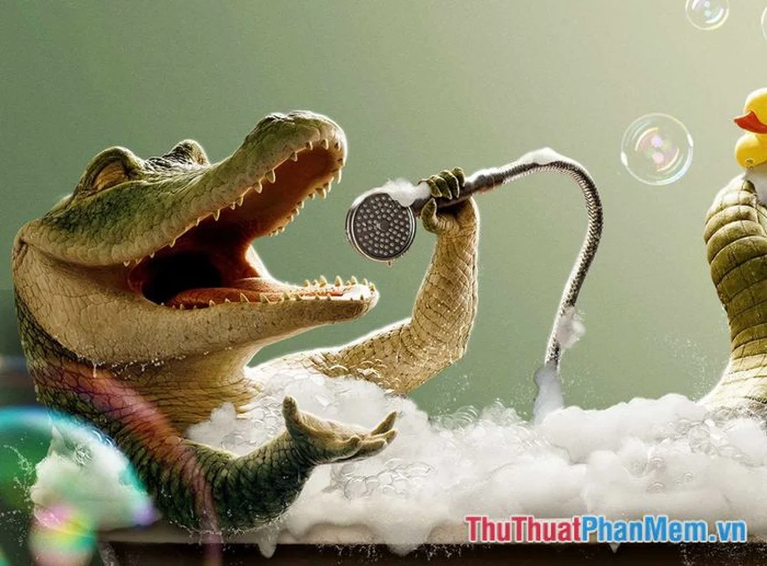 nằm mơ thấy cá sấu là điềm gì và ý nghĩa phổ biến