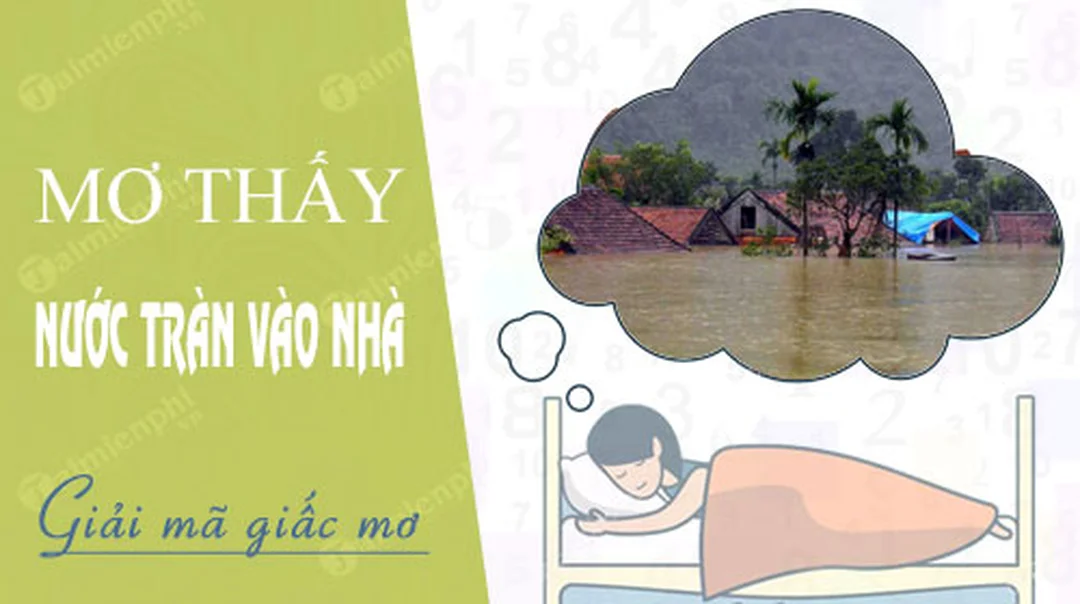 nam mo thay nuoc danh con gi qua hinh anh nuoc tran vao nha