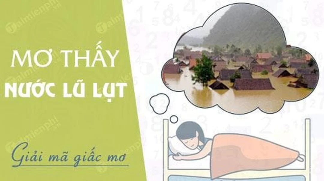 nằm mơ thấy nước lớn đánh con gì khi nước lũ dâng cao