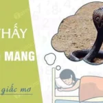 nam mo thay ran ho mang can danh con gi qua hinh ran ho mang dang ngoc dau