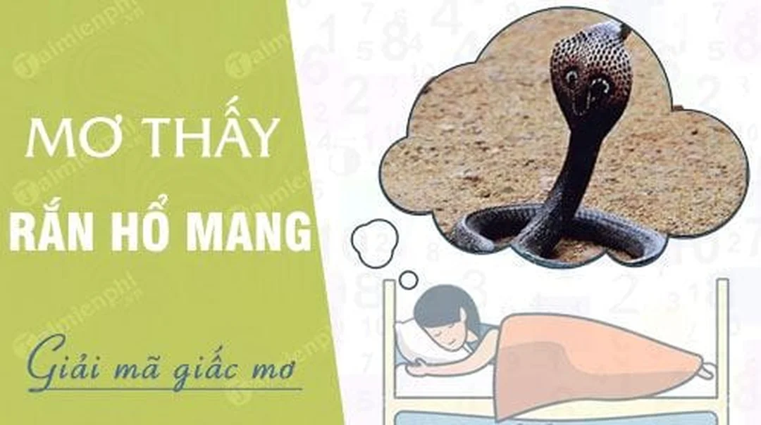 nam mo thay ran ho mang can danh con gi qua hinh ran ho mang dang ngoc dau