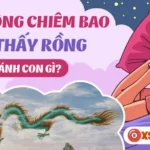 nam mo thay rong bay tren troi danh con gi theo so mo