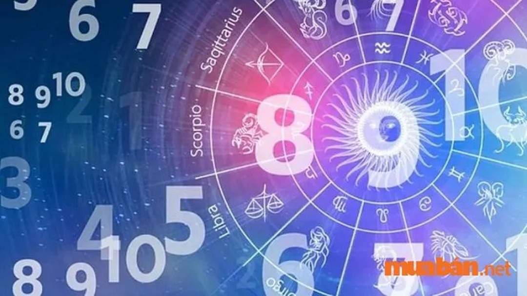 Nằm Mơ Thấy Số 35 Đánh Con Gì? Cách Đọc Số Theo Sổ Mơ Và Thống Kê 2026 13 nam mo thay so 35 danh con gi hinh minh hoa 1