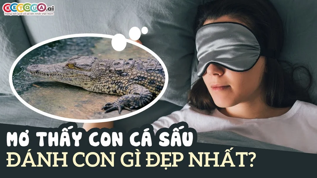 Ngủ mơ cá sấu đánh số mấy và ý nghĩa giấc mơ thấy cá sấu