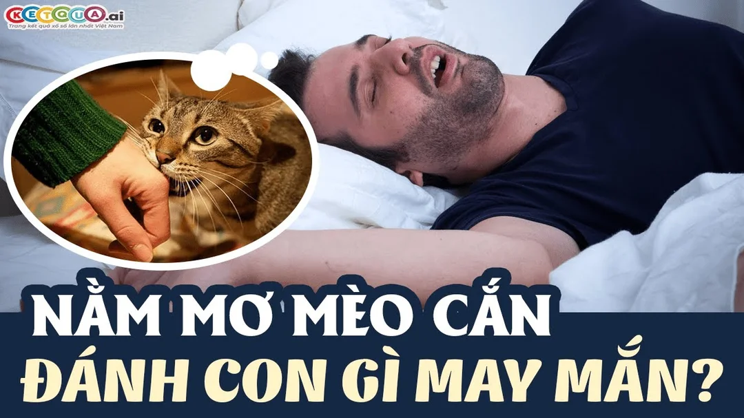 Ngủ mơ mèo cắn đánh số mấy? Ý nghĩa giấc mơ thấy con mèo cắn