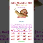 video giai ma giac mo thay lai xe o to 1