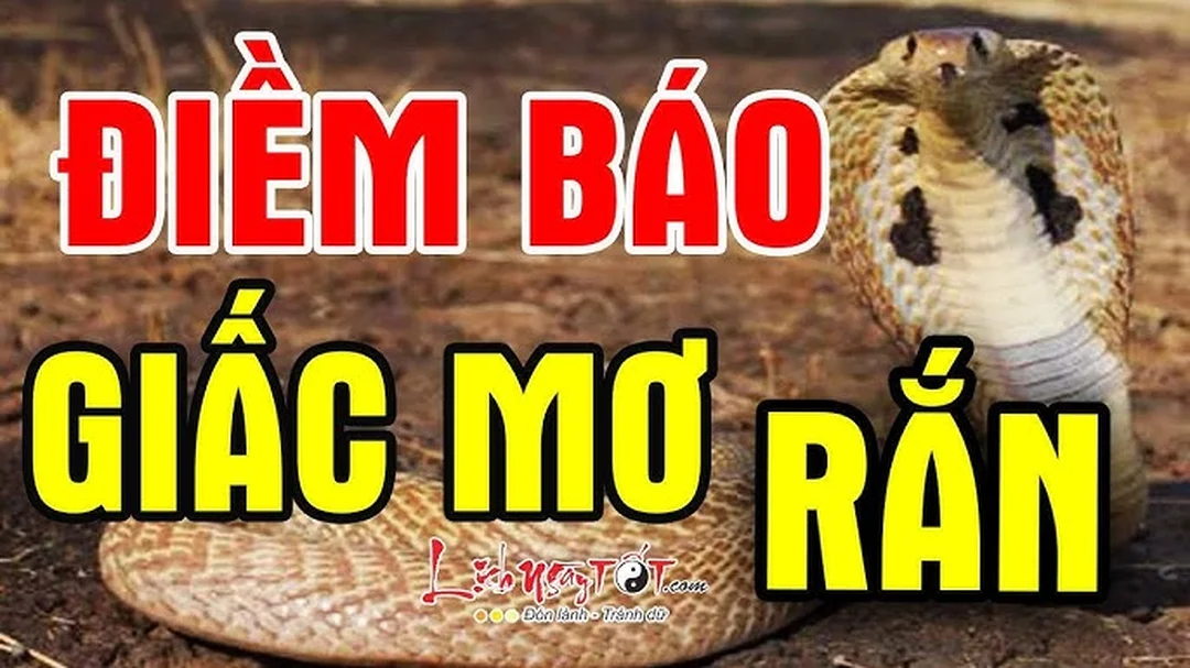 Video giải mã giấc mơ thấy rắn