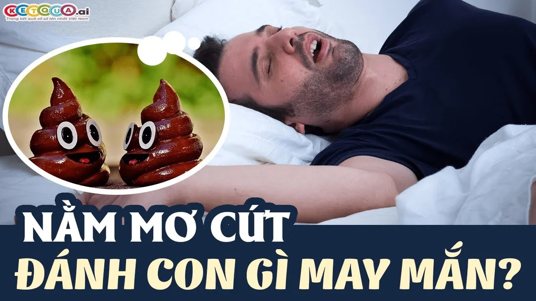 Video giải mã mơ thấy cứt đánh số mấy