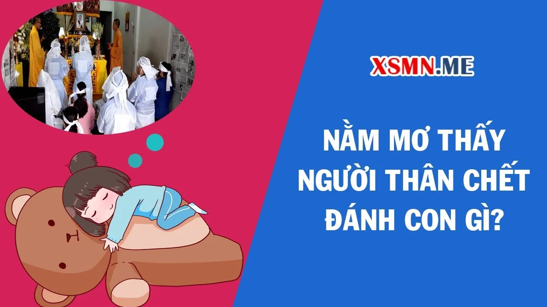 Video giải mã mơ thấy người thân chết đánh con gì