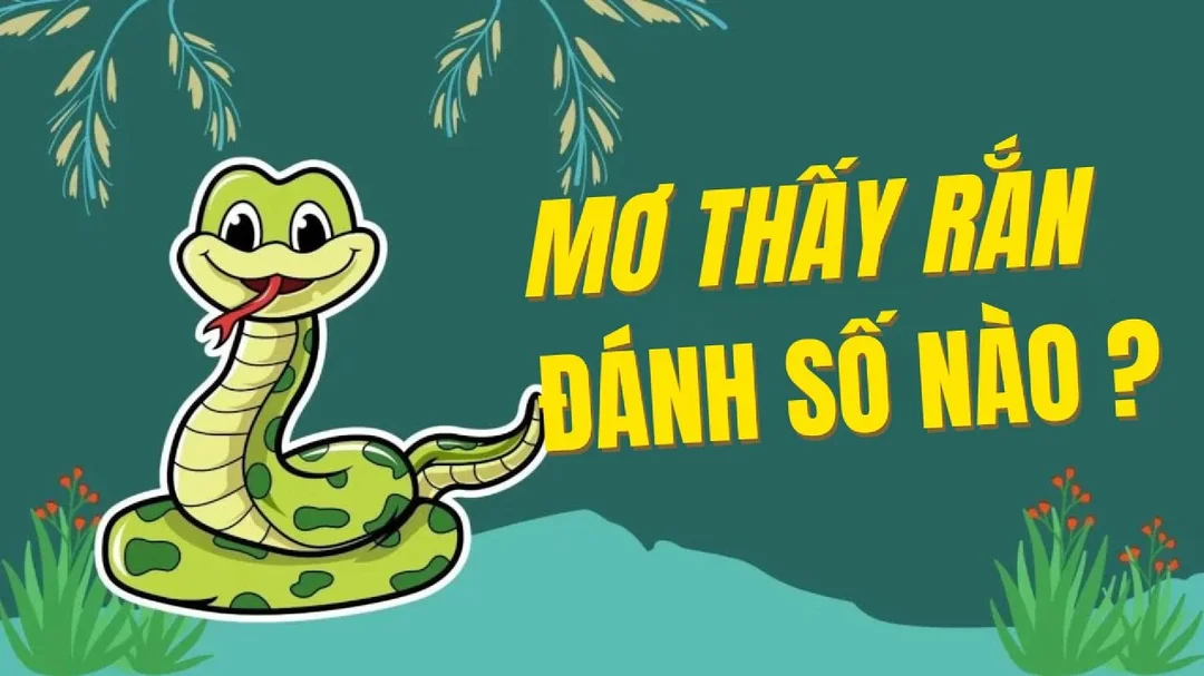 Video giải mã mơ thấy rắn đánh số gì