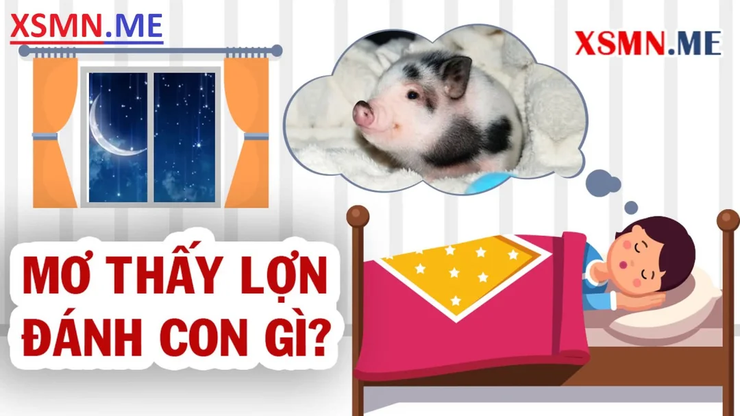 Video giải mã nằm mơ thấy lợn đánh con gì