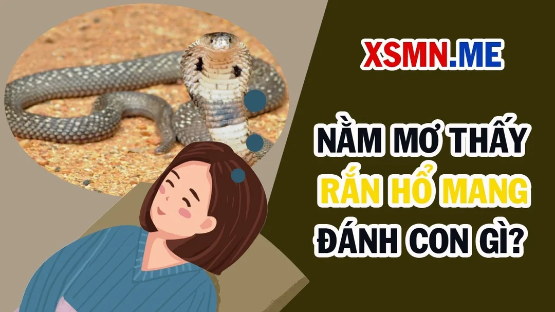 Video giải mã nằm mơ thấy rắn hổ mang đánh con gì