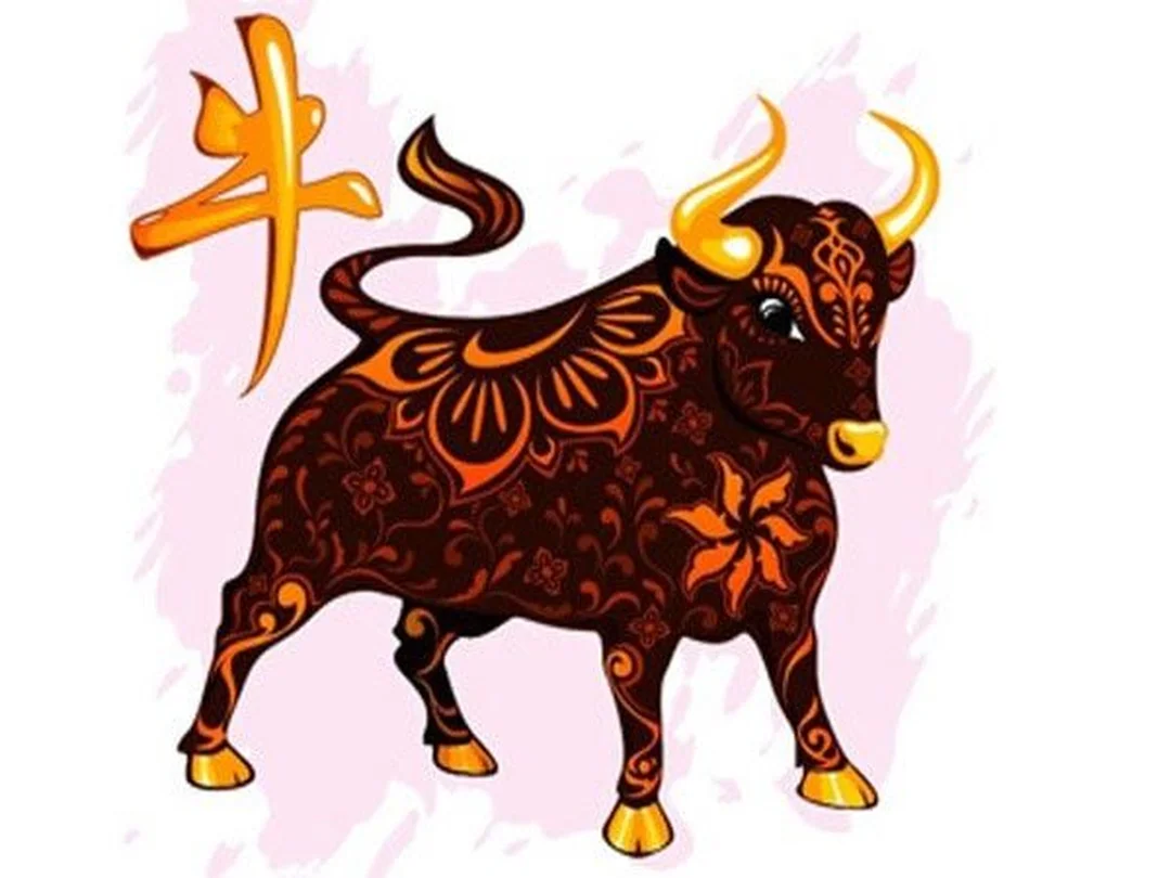 ý nghĩa phong thủy nằm mơ thấy con trâu