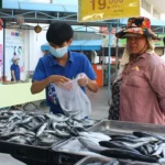 mo thay mua ca danh con gi hinh minh hoa 1