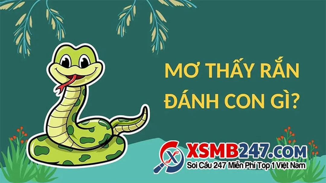 mo thay ran can danh con de gi bang so dan gian