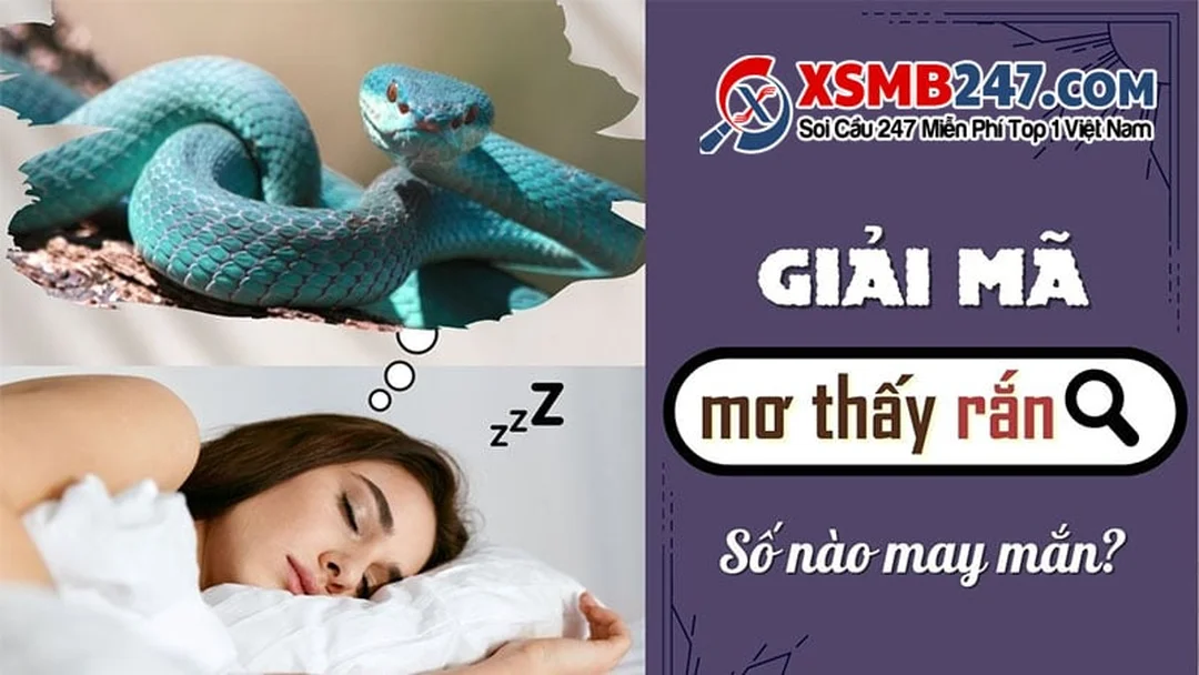 mơ thấy rắn thì đánh con đề gì theo màu sắc