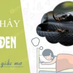 nam mo thay ran den danh con gi qua bang so mo dan gian