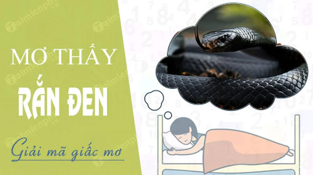Nằm Mơ Thấy Rắn Đen Đánh Con Gì? Bảng Số Và Điềm Báo 2026 1 nam mo thay ran den danh con gi qua bang so mo dan gian