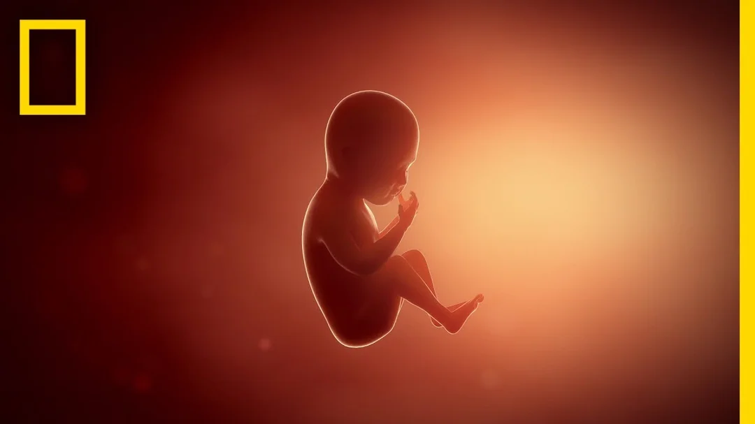 Video quá trình sinh nở thực tế để đối chiếu biểu tượng trong mơ